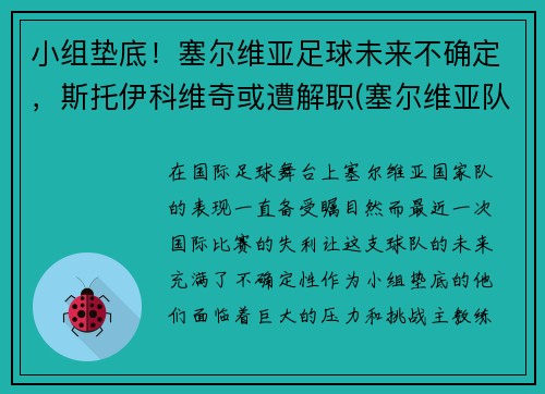 小组垫底！塞尔维亚足球未来不确定，斯托伊科维奇或遭解职(塞尔维亚队)