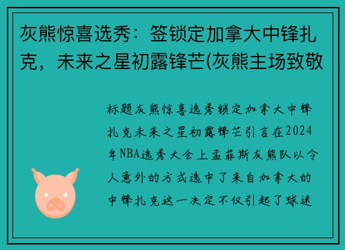 灰熊惊喜选秀：签锁定加拿大中锋扎克，未来之星初露锋芒(灰熊主场致敬小加)