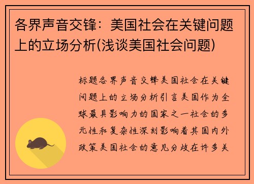 各界声音交锋：美国社会在关键问题上的立场分析(浅谈美国社会问题)